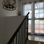 Poppy, Royal Park Village,